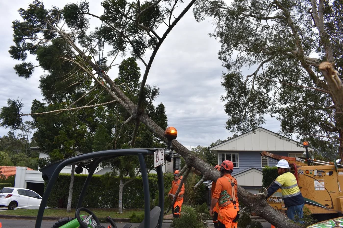 A storm-damaged limb brought down across a suburban property
