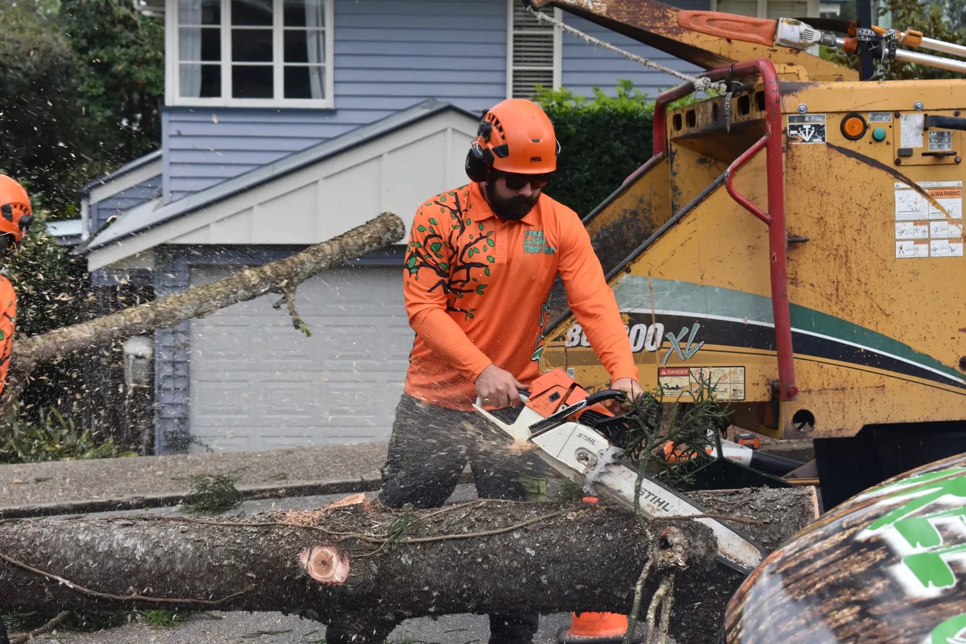 An arborist cutting a felled trunk into rounds with a chainsaw