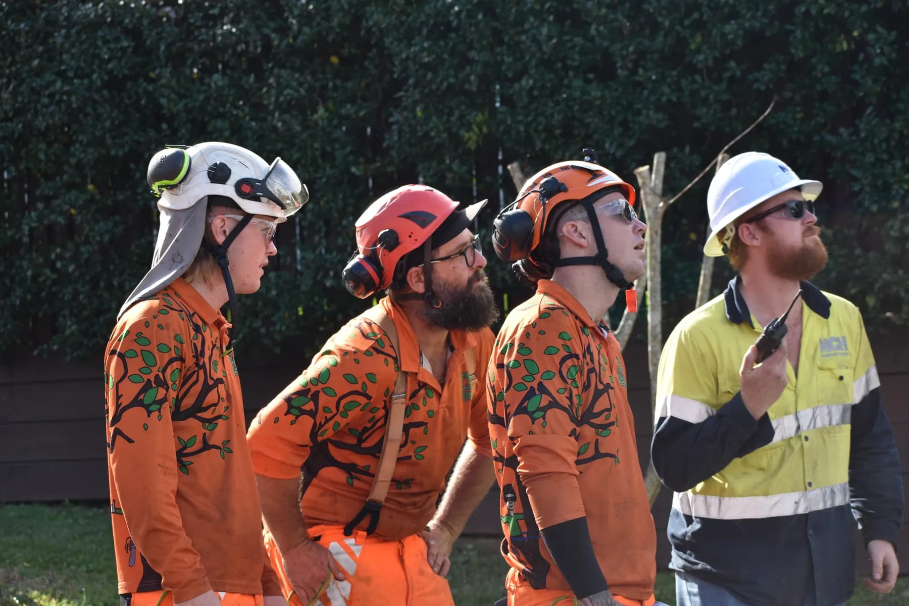 Four Your Local Tree Guy arborists in branded hi-vis and full climbing helmets on site