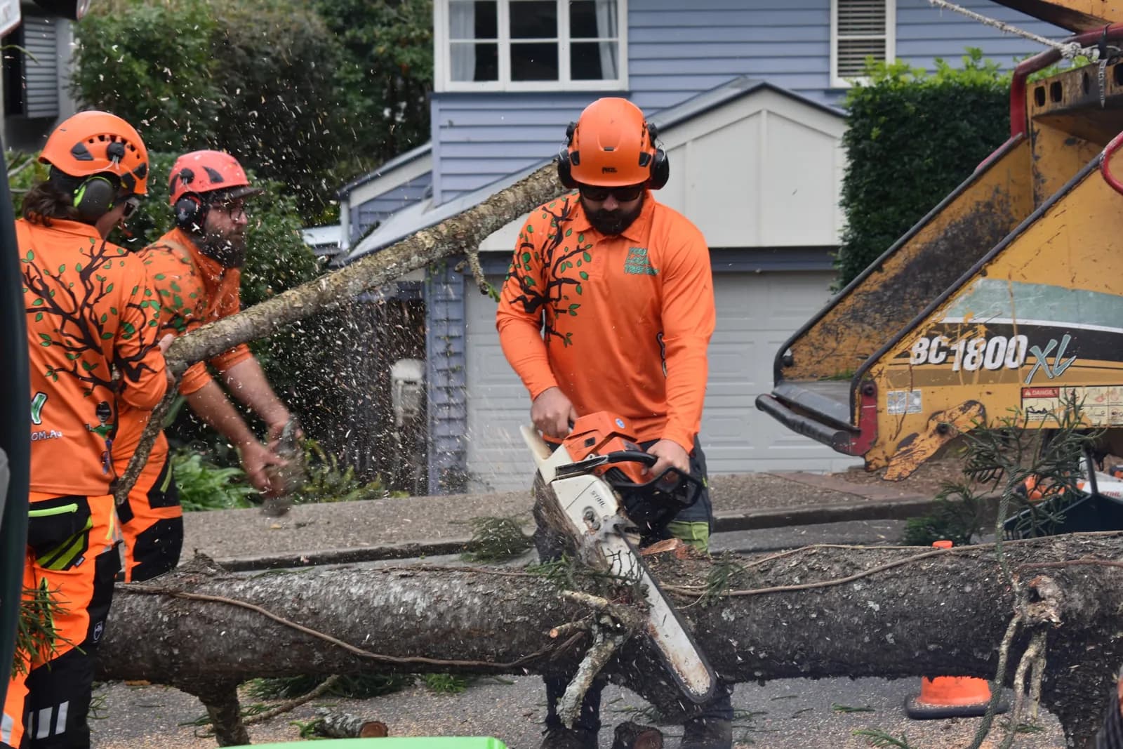 An arborist cutting a felled trunk down to size