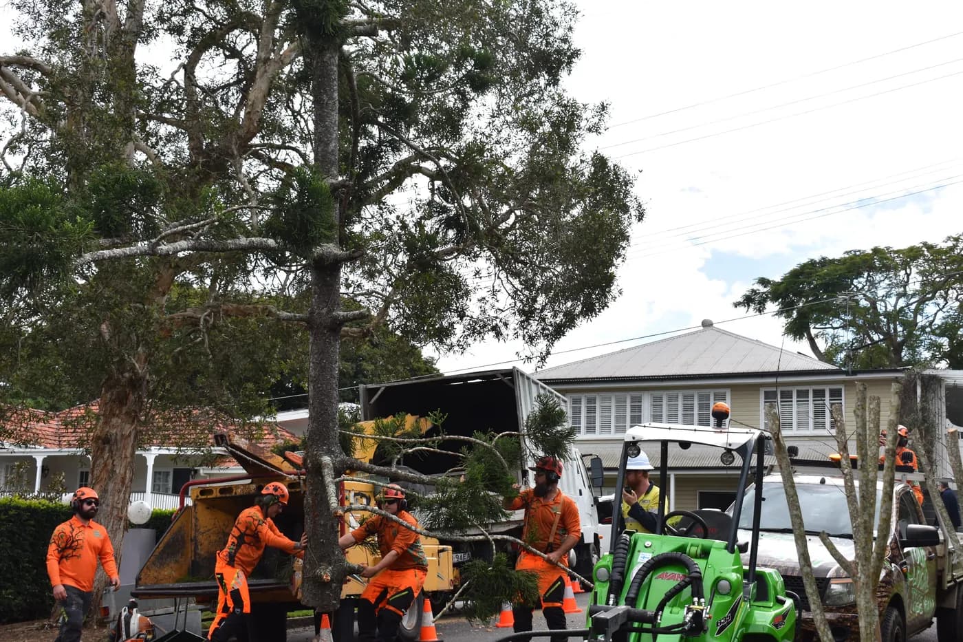 Crew and chipper working outside a Brisbane Queenslander