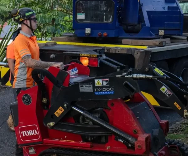 Brisbane Commercial Tree Removal