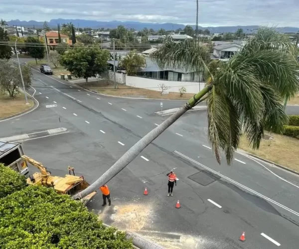 Brisbane Council Works