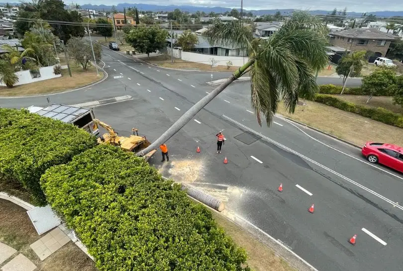 Service Top Council Works