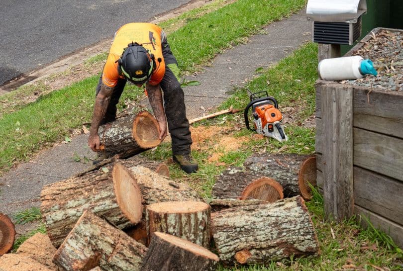 Service Top Stump Removal